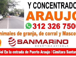 AGORPECUARIA Y CONCENTRADOS ARAUJO