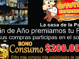 COYOTE EXPRESS 