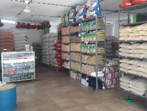 CONCENTRADOS EL TRIANGULO