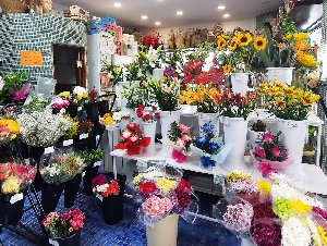 Floristería