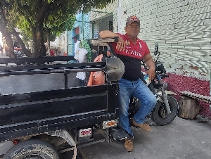 CARGUERO PALOMO 