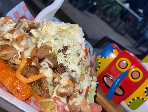 SALCHI RAPI