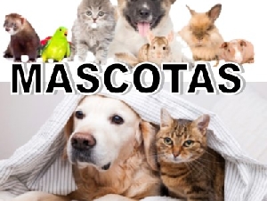 Mascotas